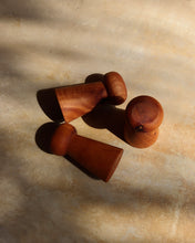 Load image into Gallery viewer, TRENZA DE HILOS - TRENZA MAYA